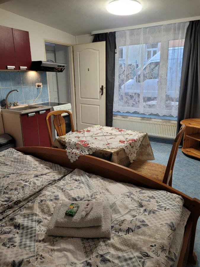Penzion Duong Apartments Karlovy Vary Kültér fotó